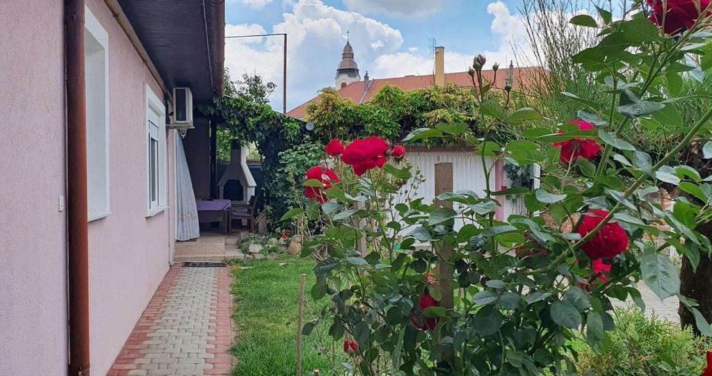 Apartman Ksenija Dakovo Ngoại thất bức ảnh
